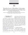Beneficial Uses of Breadfruit (Artocarpus Altilis)