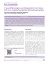 A Case of Androgen-Secreting Adrenal Carcinoma with Non-Classical Congenital Adrenal Hyperplasia