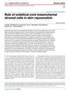 Role of Umbilical Cord Mesenchymal Stromal Cells in Skin Rejuvenation