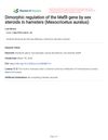 Dimorphic Regulation of the MafB Gene by Sex Steroids in Hamsters (Mesocricetus Auratus)