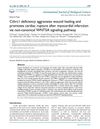 Cthrc1 Deficiency Aggravates Wound Healing and Promotes Cardiac Rupture After Myocardial Infarction via Non-Canonical WNT5A Signaling Pathway