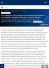The Spade Sign as a Pathognomonic Histopathologic Feature of Acne Keloidalis: Analysis of 33 Cases of Cicatricial Alopecia