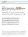 WNT10A Mutation Causes Ectodermal Dysplasia by Impairing Progenitor Cell Proliferation and KLF4-Mediated Differentiation