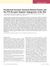 Parathyroid Hormone-Related Protein and the PTH Receptor Regulate Angiogenesis of the Skin