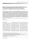 Roles of Jumonji and Jumonji Family Genes in Chromatin Regulation and Development
