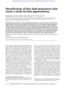Identification of Hair Shaft Progenitors That Create a Niche for Hair Pigmentation