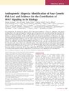 Androgenetic Alopecia: Identification Of Four Genetic Risk Loci And Evidence For The Contribution Of WNT Signaling To Its Etiology