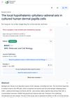 The Local Hypothalamic–Pituitary–Adrenal Axis in Cultured Human Dermal Papilla Cells
