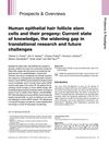 Human Epithelial Hair Follicle Stem Cells and Their Progeny: Current State of Knowledge, the Widening Gap in Translational Research and Future Challenges
