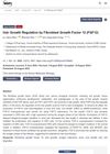 Hair Growth Regulation by Fibroblast Growth Factor 12 (FGF12)
