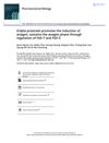 Eclipta Prostrata Promotes the Induction of Anagen, Sustains the Anagen Phase Through Regulation of FGF-7 and FGF-5