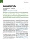 Choreographing Immunity in the Skin Epithelial Barrier