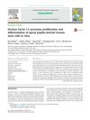 Nuclear Factor I-C Promotes Proliferation and Differentiation of Apical Papilla-Derived Human Stem Cells In Vitro