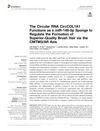 The Circular RNA CircCOL1A1 Functions as a miR-149-5p Sponge to Regulate the Formation of Superior-Quality Brush Hair via the CMTM3/AR Axis