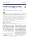 Hyperandrogenism in Polycystic Ovarian Syndrome and Role of CYP Gene Variants: A Review