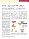 Sphere Formation Increases the Ability of Cultured Human Dermal Papilla Cells to Induce Hair Follicles from Mouse Epidermal Cells in a Reconstitution Assay