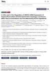In Vitro and In Vivo Regulation of SRD5A mRNA Expression of Supercritical Carbon Dioxide Extract from Asparagus Racemosus Root as Anti-Sebum and Pore-Minimizing Active Ingredients