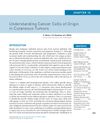 Understanding Cancer Cells of Origin in Cutaneous Tumors