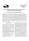 Effect of the Polymorphisms of Keratin Associated Protein 8.2 Gene on Fiber Traits in Inner Mongolia Cashmere Goats