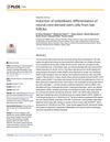 Induction of Osteoblastic Differentiation of Neural Crest-Derived Stem Cells from Hair Follicles