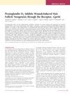 Prostaglandin D2 Inhibits Wound-Induced Hair Follicle Neogenesis Through the Receptor Gpr44