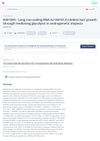 Long Non-Coding RNA AL136131.3 Inhibits Hair Growth Through Mediating Glycolysis in Androgenetic Alopecia