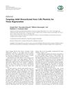 Targeting Adult Mesenchymal Stem Cells Plasticity for Tissue Regeneration