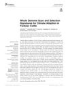Whole Genome Scan and Selection Signatures for Climate Adaptation in Yanbian Cattle
