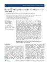 Histochemical Study of Immature Blackbuck Pancreas in Al-Najaf, Iraq