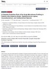 A Potential Predictive Role of the Scalp Microbiome Profiling in Patients with Alopecia Areata: Staphylococcus Caprae, Corynebacterium, and Cutibacterium Species