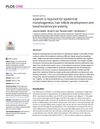 Alpha-Parvin Is Required for Epidermal Morphogenesis, Hair Follicle Development, and Basal Keratinocyte Polarity