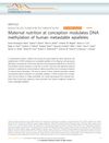 Maternal Nutrition at Conception Modulates DNA Methylation of Human Metastable Epialleles