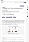 BFNB Enhances Hair Growth in C57BL/6 Mice Through the Induction of EGF and FGF7 Factors and the PI3K-AKT-Beta-Catenin Pathway