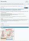 DKK3–CKAP4 Signaling Drives Fibroimmune Remodeling and Hair Follicle Miniaturization in Androgenetic Alopecia
