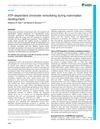 ATP-Dependent Chromatin Remodeling During Mammalian Development