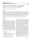 Mechanisms and Cell Lineages in Lymphatic Vascular Development
