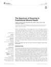 The Spectrum of Scarring in Craniofacial Wound Repair