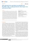 Self-Organized Skin Equivalent by Epithelial and Fibroblast Cells on Polycaprolactone Electrospun Mat with Porous Fibers