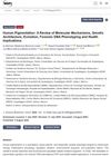 Human Pigmentation: A Review of Molecular Mechanisms, Genetic Architecture, Evolution, Forensic DNA Phenotyping and Health Implications