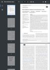Boron Deficiency Responses in Maize (Zea Mays L.) Roots