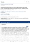 A Proprietary Lipidosterolic Extract of Serenoa Repens Promotes Hair Growth Through Mechanisms That Extend Beyond 5-Alpha Reductase Inhibition: Insights From Human Hair Follicle Organ Culture