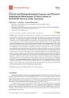 Clinical and Histopathological Features and Potential Pathological Mechanisms of Skin Lesions in COVID-19: Review of the Literature
