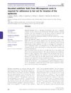Secreted Subtilisin Sub3 from Microsporum Canis Is Required for Adherence to but Not for Invasion of the Epidermis