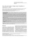 Corn Silk Extract Improves Benign Prostatic Hyperplasia in Experimental Rat Model
