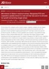 Interest of Silybum Marianum Extract, Manganese PCA, and Lespedeza Capitata Extract in a New Anti-Hair Loss Serum to Stimulate Hair Growth and Prolong Anagen Phase
