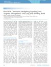 Basal Cell Carcinoma, Hedgehog Signaling, and Targeted Therapeutics: The Long and Winding Road