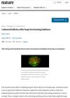 Cultured Follicles Offer Hope for Beating Baldness