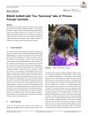 Bibbidi Bobbidi Bald: Two Hair-Raising Tales of Princess Package Hairstyles