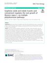 Graphene Oxide and Indole-3-Acetic Acid Cotreatment Regulates the Root Growth of Brassica Napus L. via Multiple Phytohormone Pathways