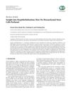 Insight Into Reepithelialization: How Do Mesenchymal Stem Cells Perform?